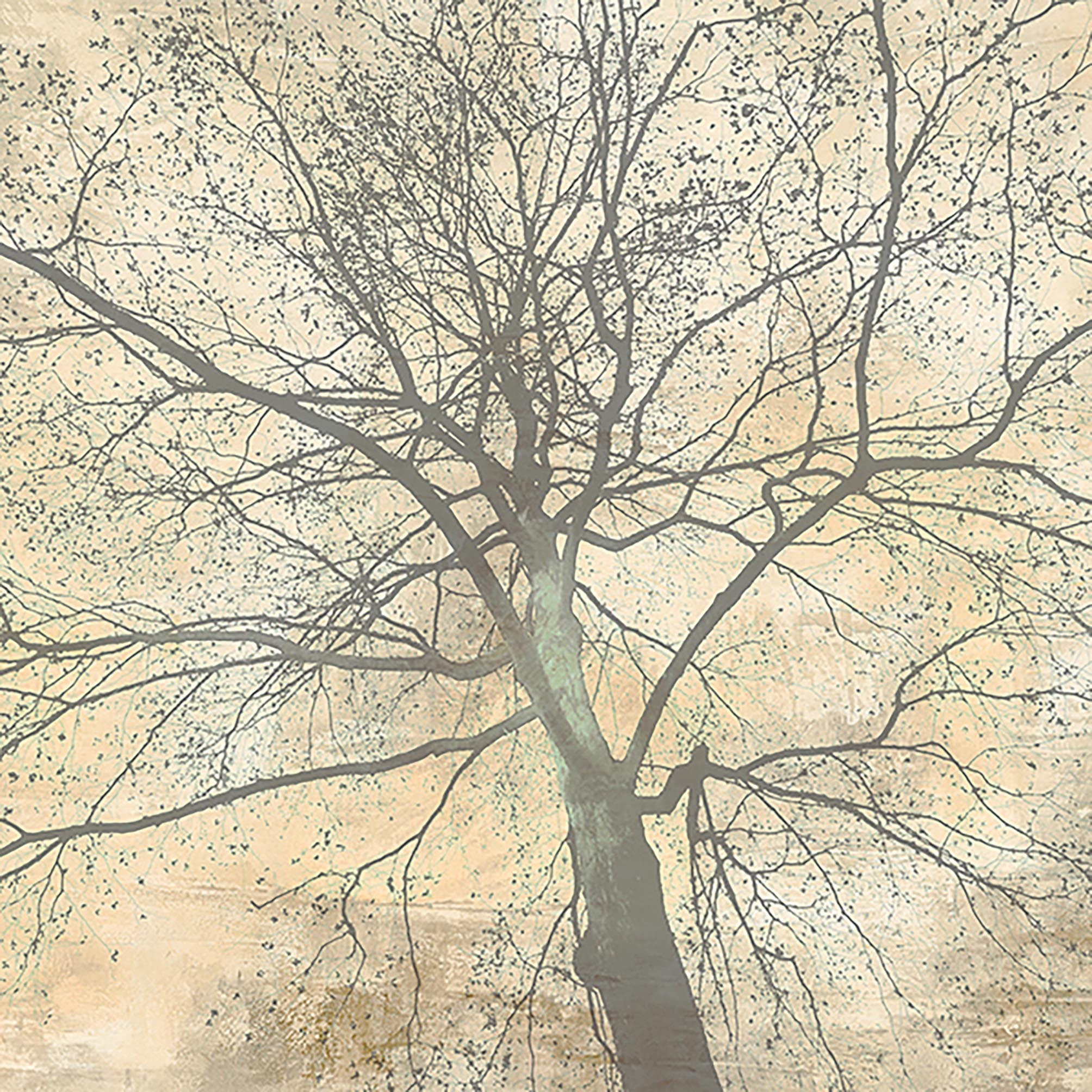 Debajo de mi árbol II (detalle)