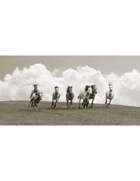 Manada de caballos salvajes (BW)