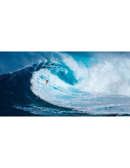 Surfeando la gran ola, Tasmania (detalle)