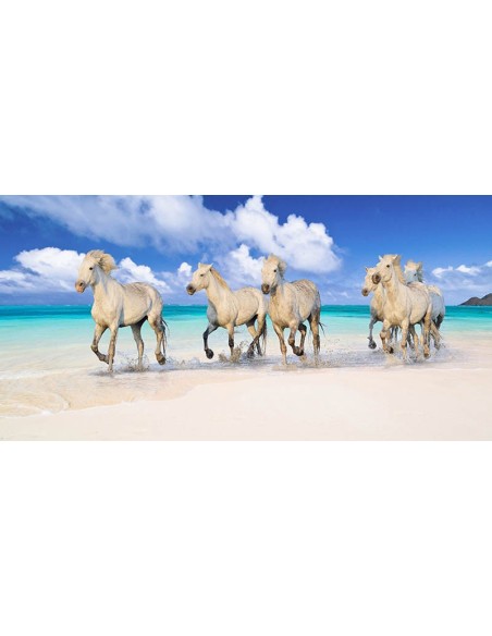 Hermanos de sangre, playa Lanikai, Hawái