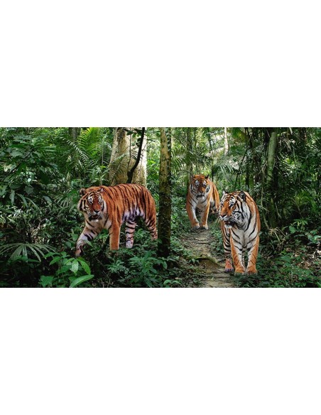 Tigres de Bengala (detalle)