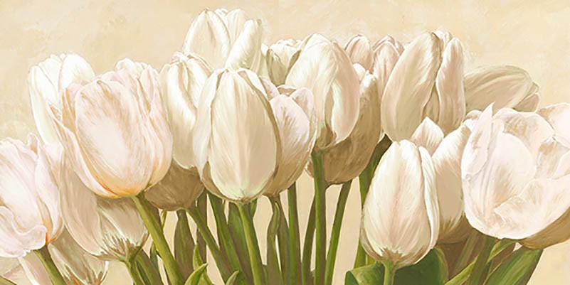 Tulipanes color blanco roto