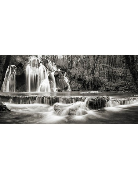 Cascada en un bosque (BW)