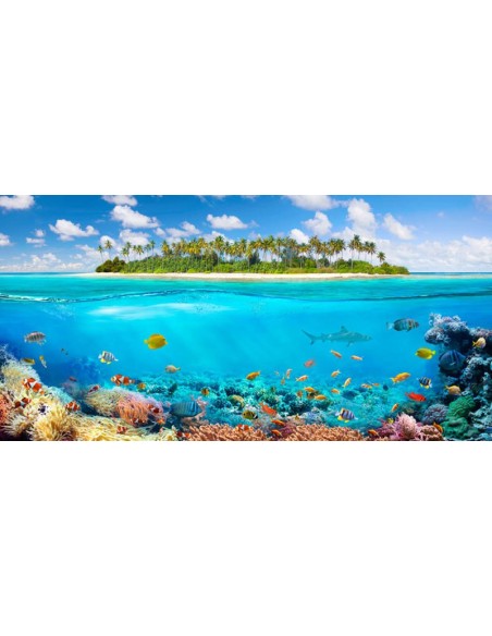 El arrecife de coral