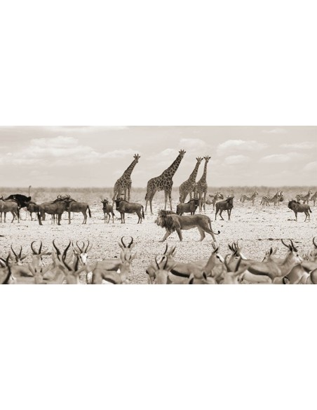 Soberano pasando por (Masai Mara, BW)