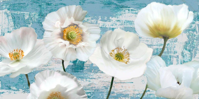 Amapolas lavadas (aguamarina)