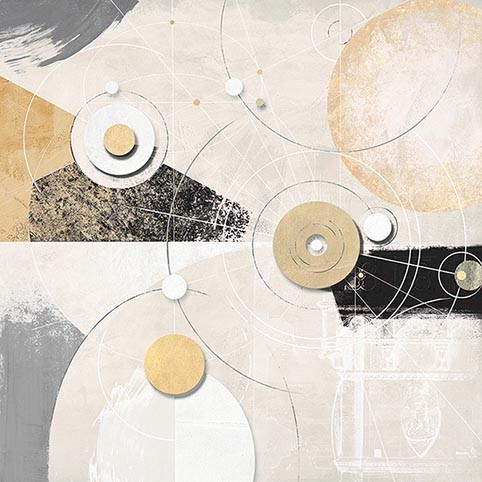 Orquídeas sobre fondo gris I