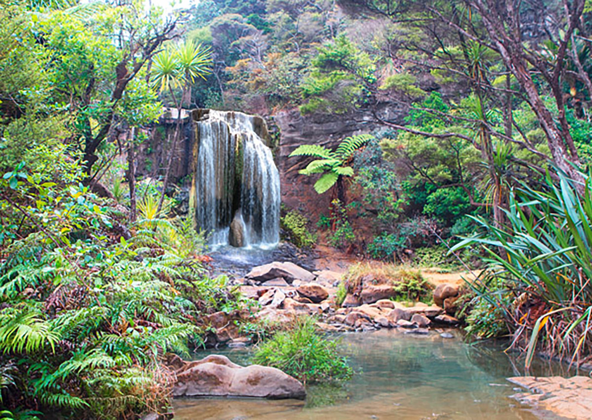 Cascada de la selva tropical (detalle)