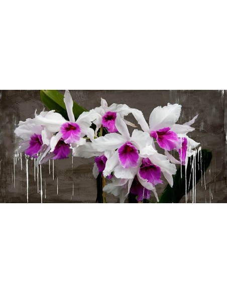 Pizarra de orquídeas