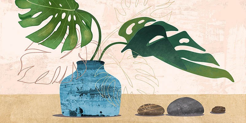 Composición de Feng Shui