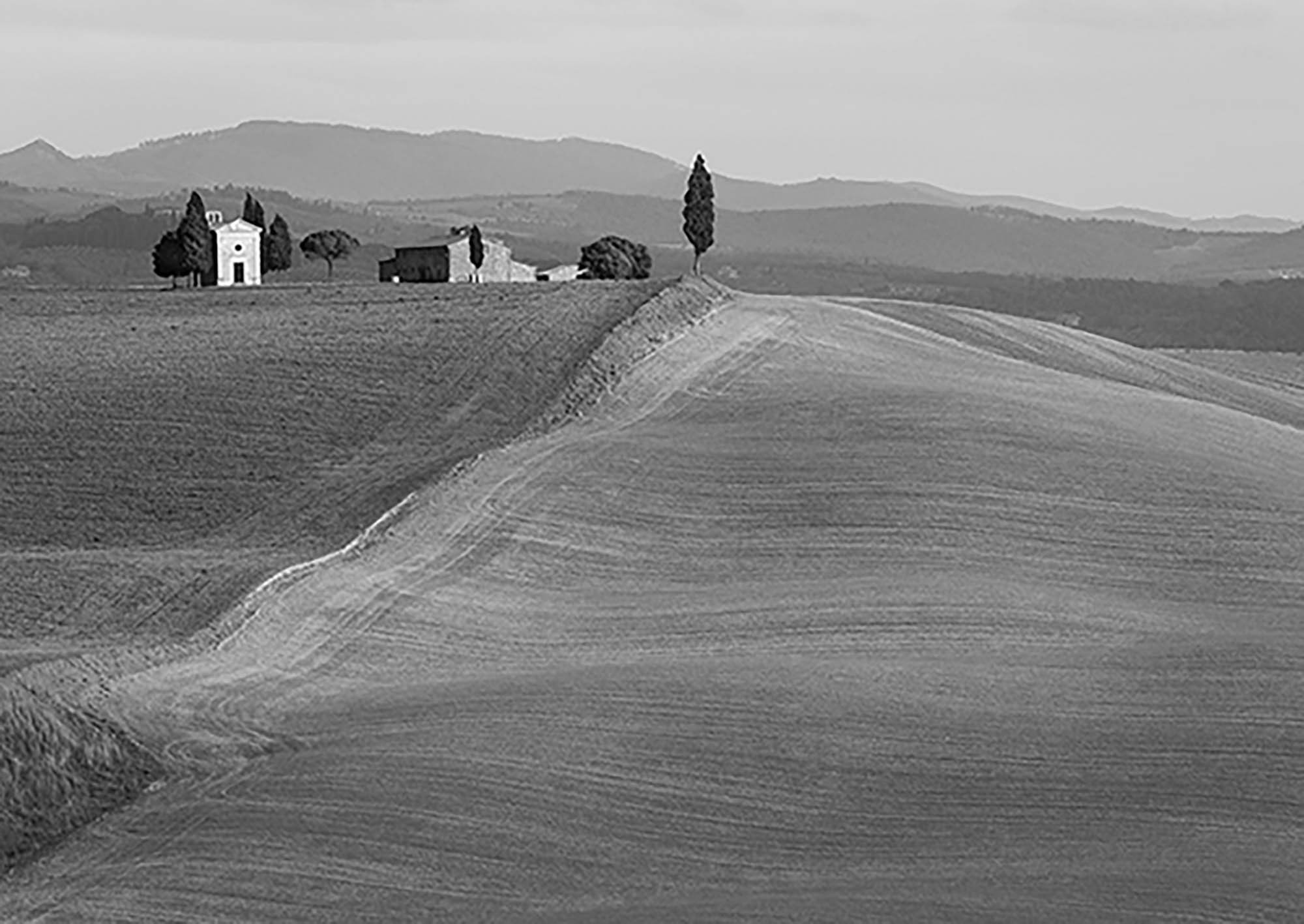 Val d'Orcia, Siena, Toscana (BW)