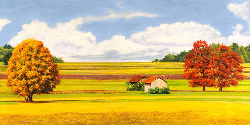 Llanuras Serenas (detalle)