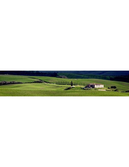 A villa in Tuscany
