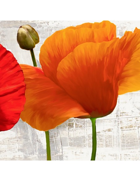 Rosas de primavera I