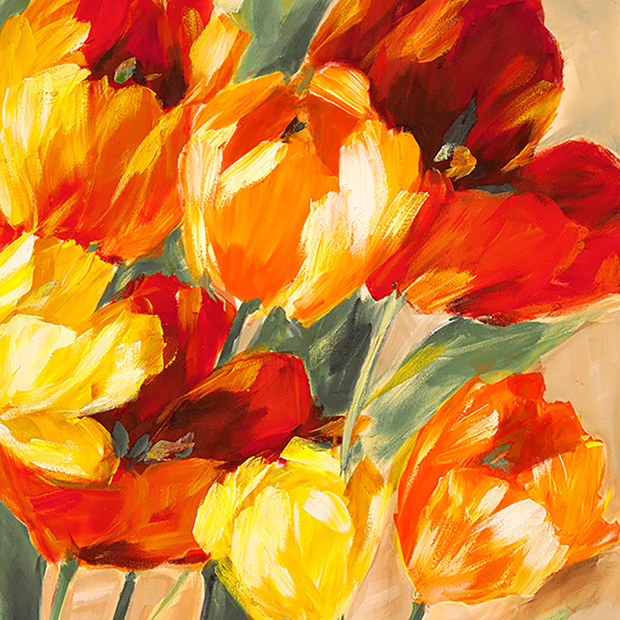 Tulipanes coloridos II