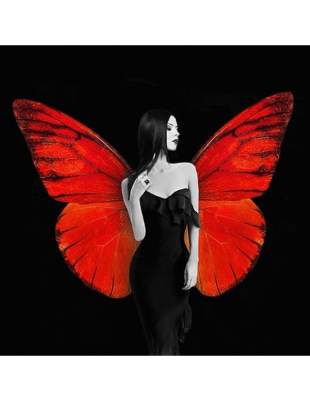 Colores de la Naturaleza (detalle II)