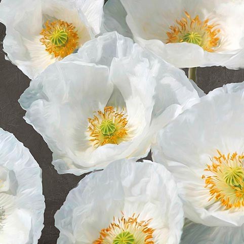 Amapolas en menta II