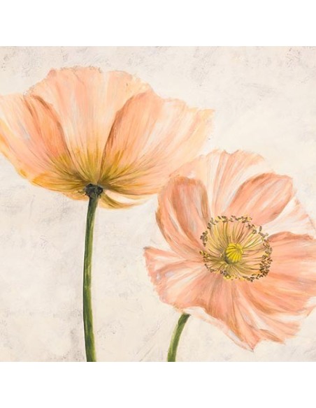 Tulipanes de primavera II