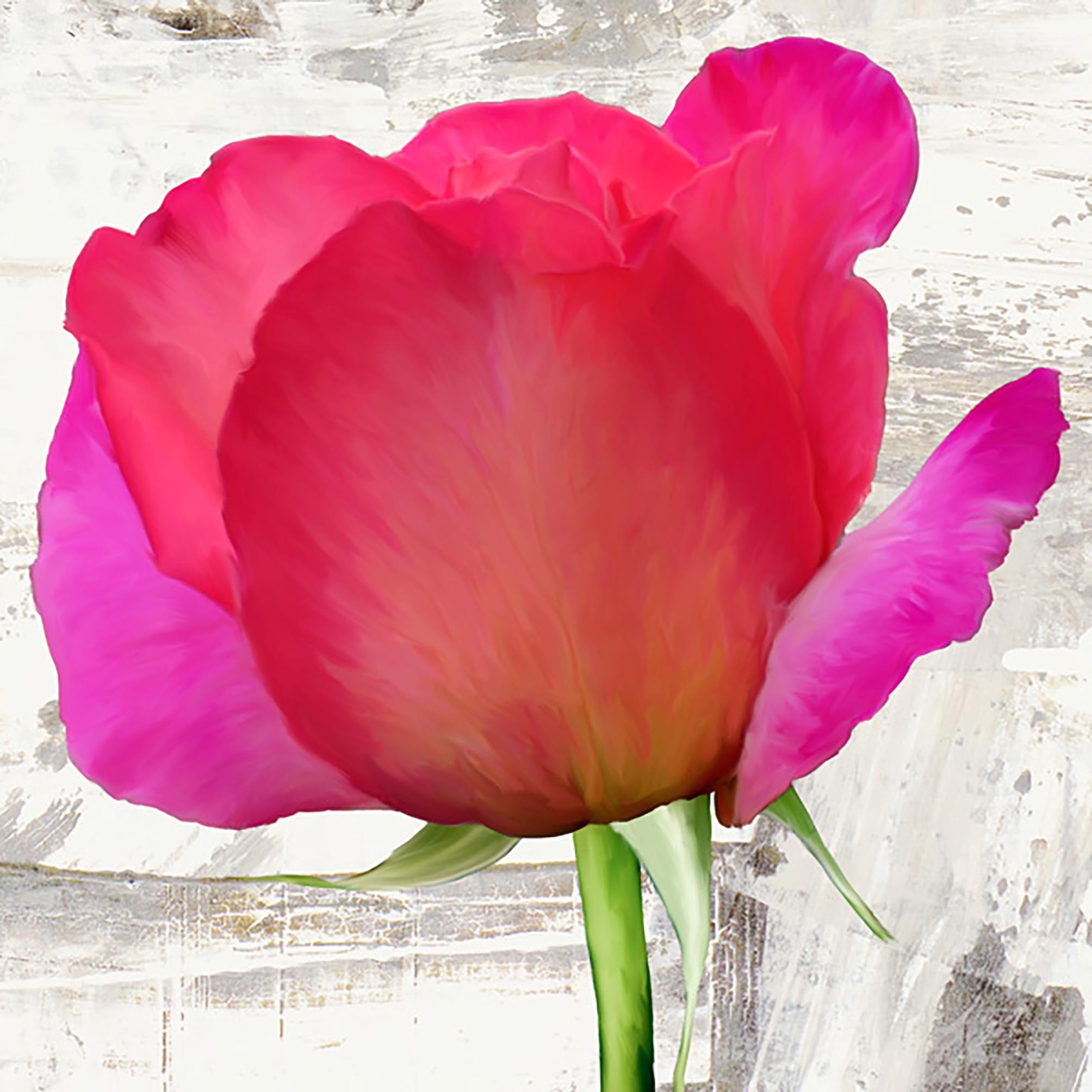 Rosas de primavera II