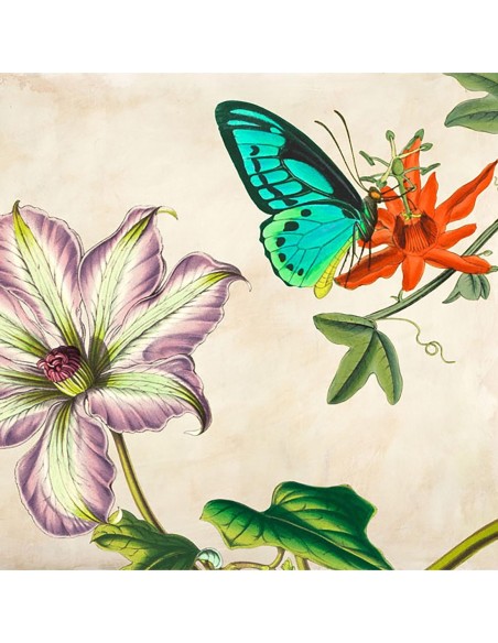 Panel Botánico VIII