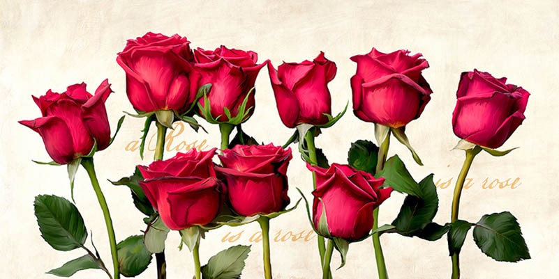 Una rosa es una rosa es una rosa