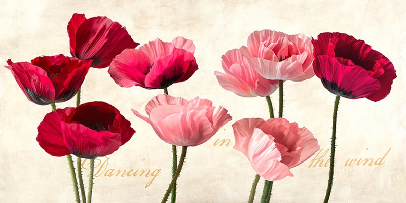 Bailando en el viento