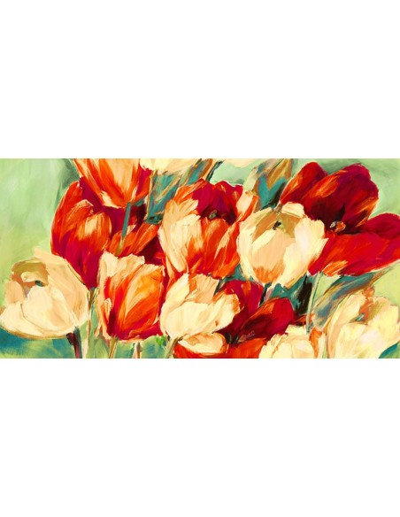 Tulipanes rojos y blancos