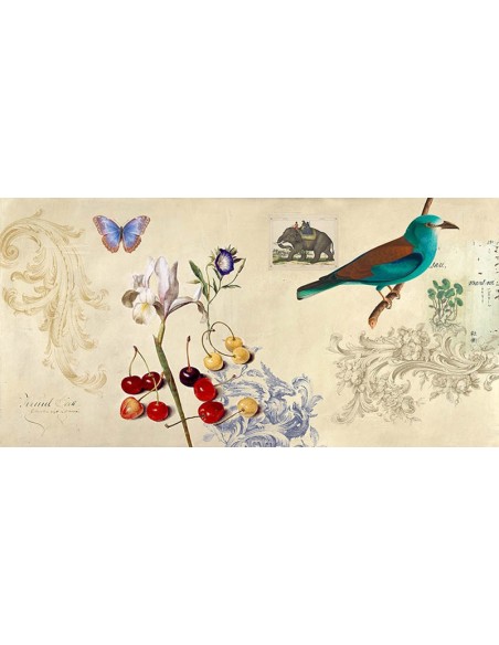 Gabinete de Curiosidades I