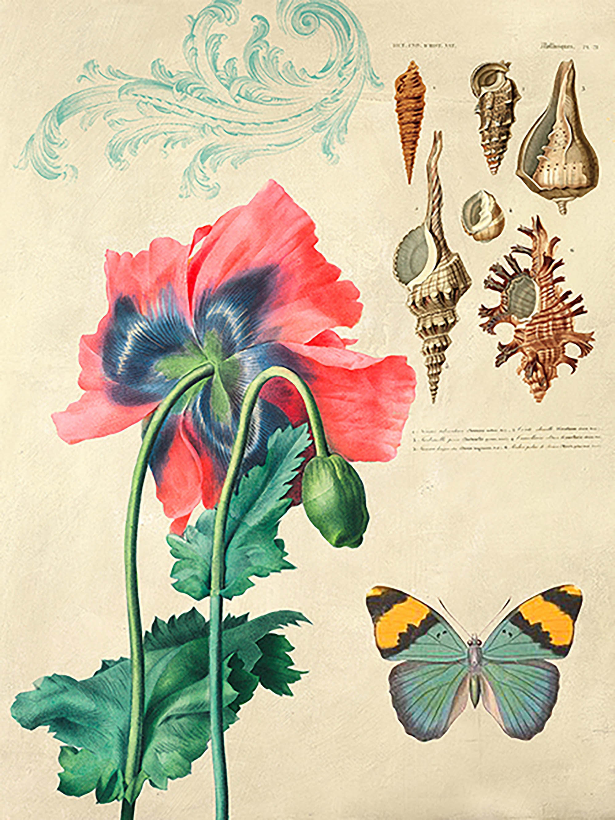 Gabinete de Curiosidades No. 3