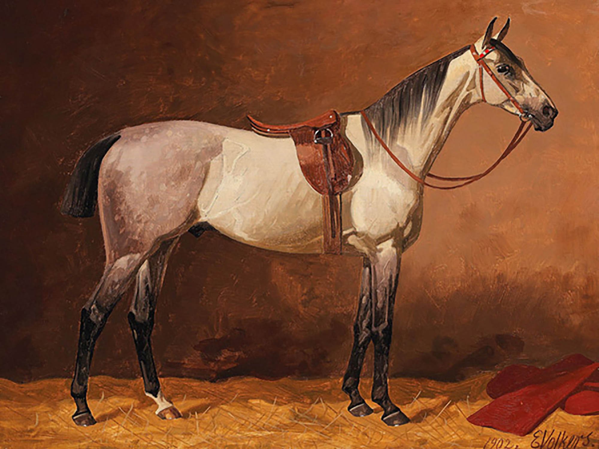 Caballo deportivo ensillado