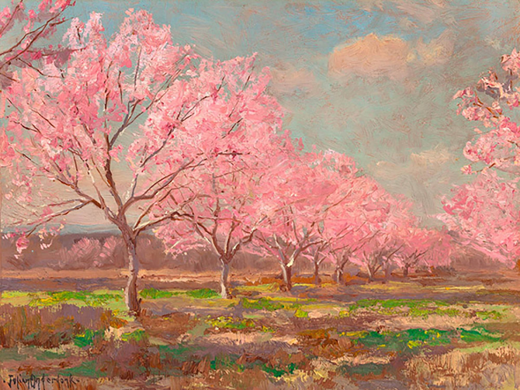 Huerto de melocotones en la granja Mavericks