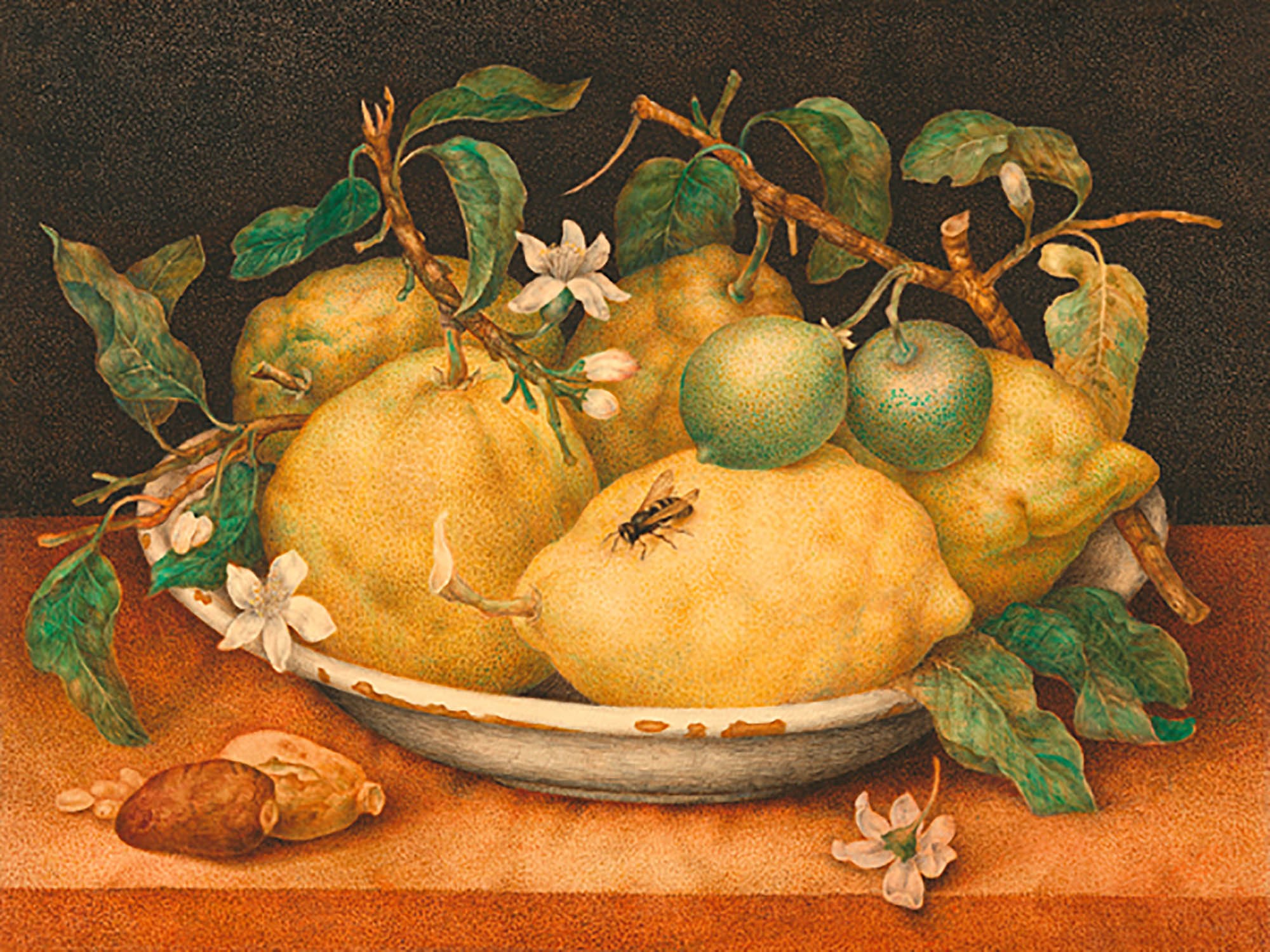 Naturaleza muerta con cedros