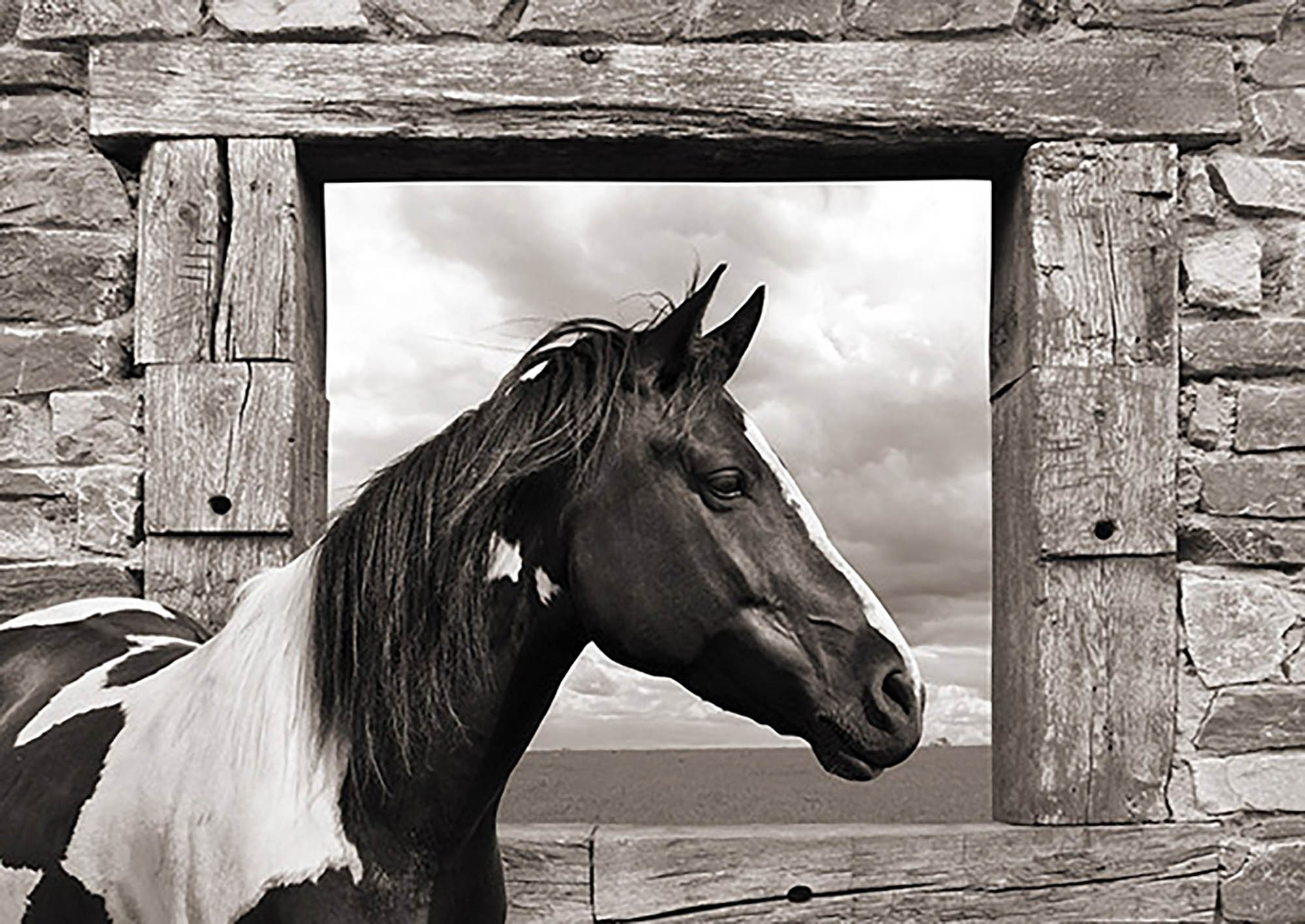 Caballo pintado (BW)