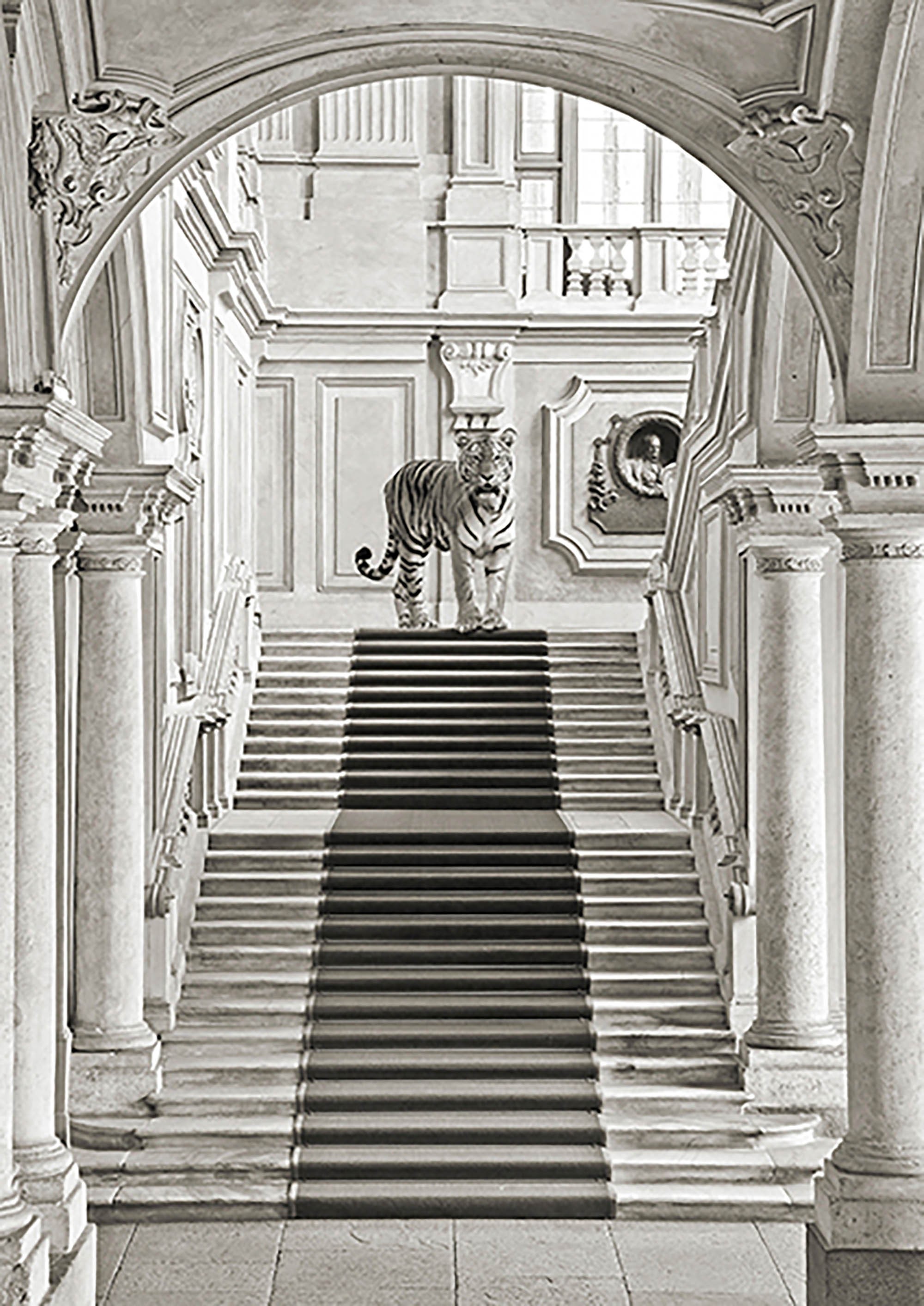 Lujosa naturaleza II