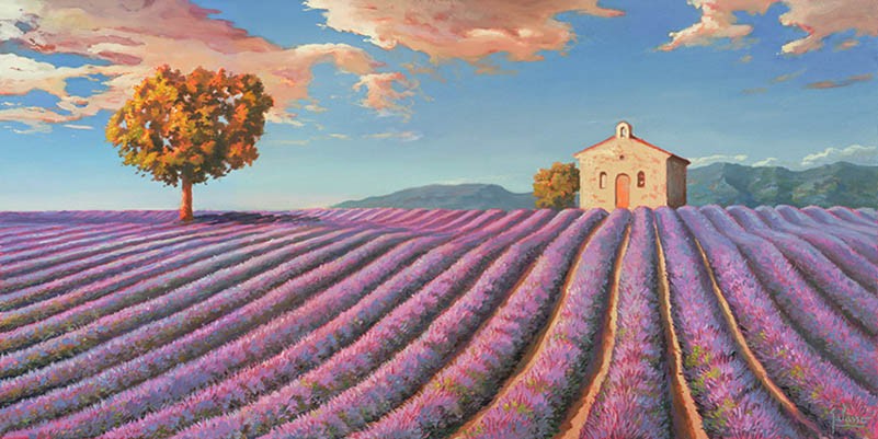 campos de lavanda