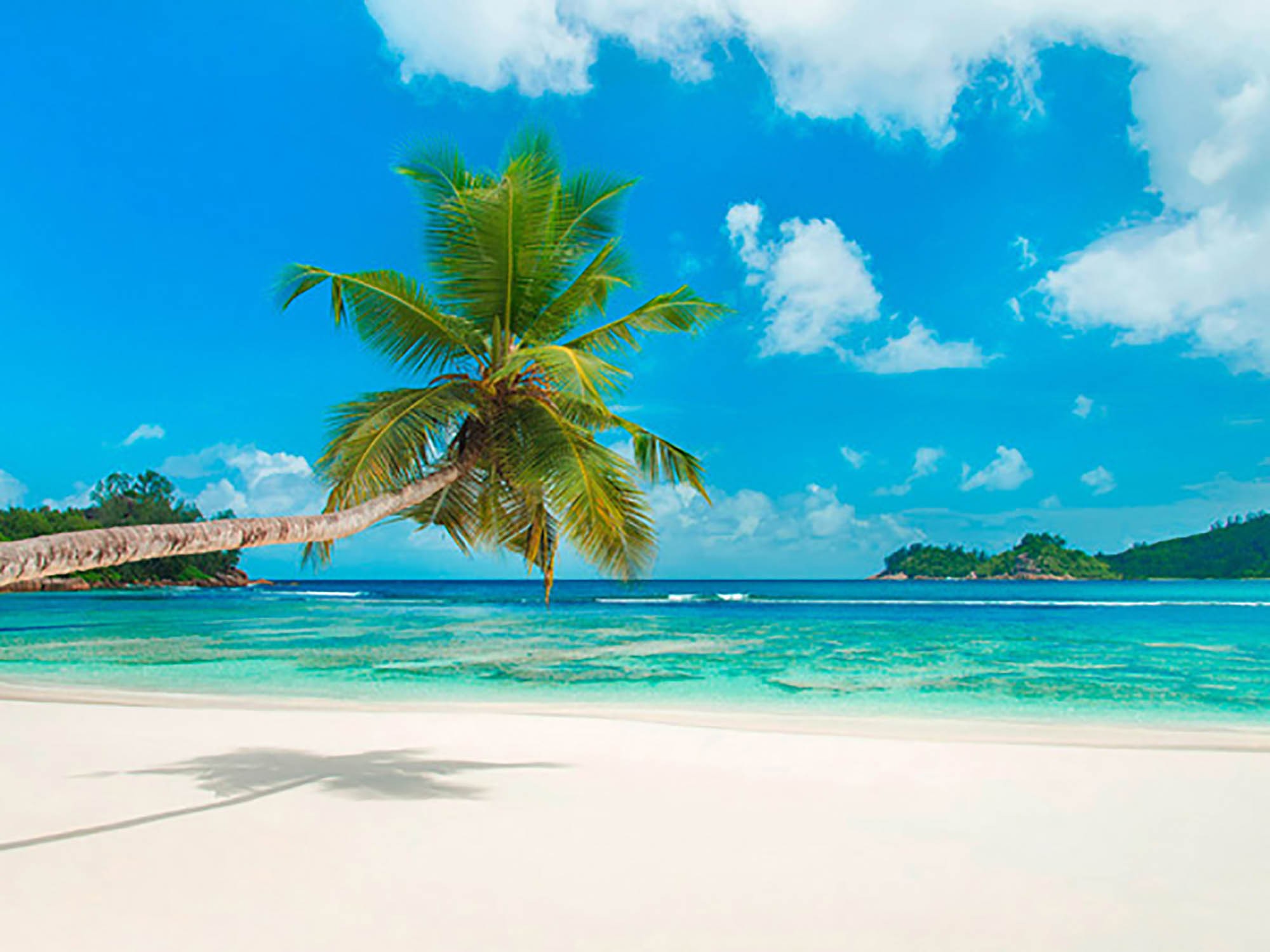 Playa tropical, Seychelles (detalle)