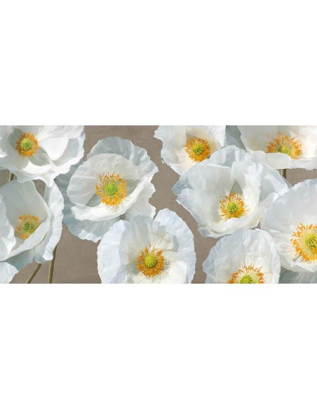 Arreglo de amapolas (topo)