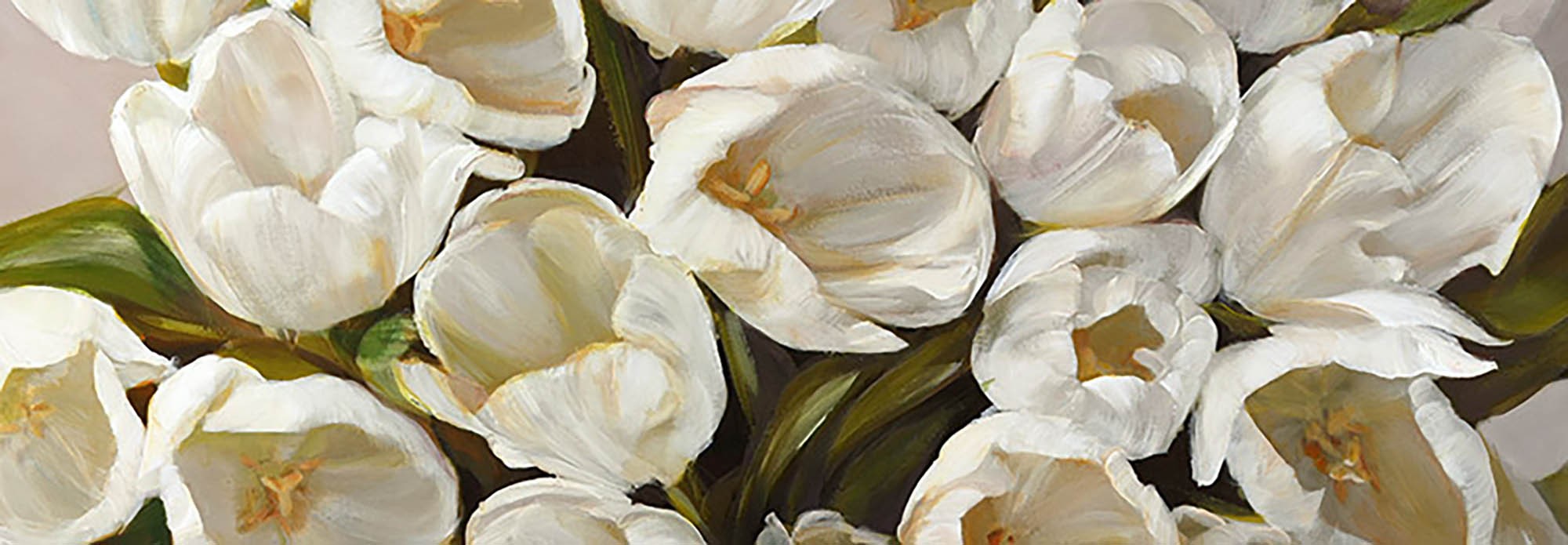 tulipanes blancos