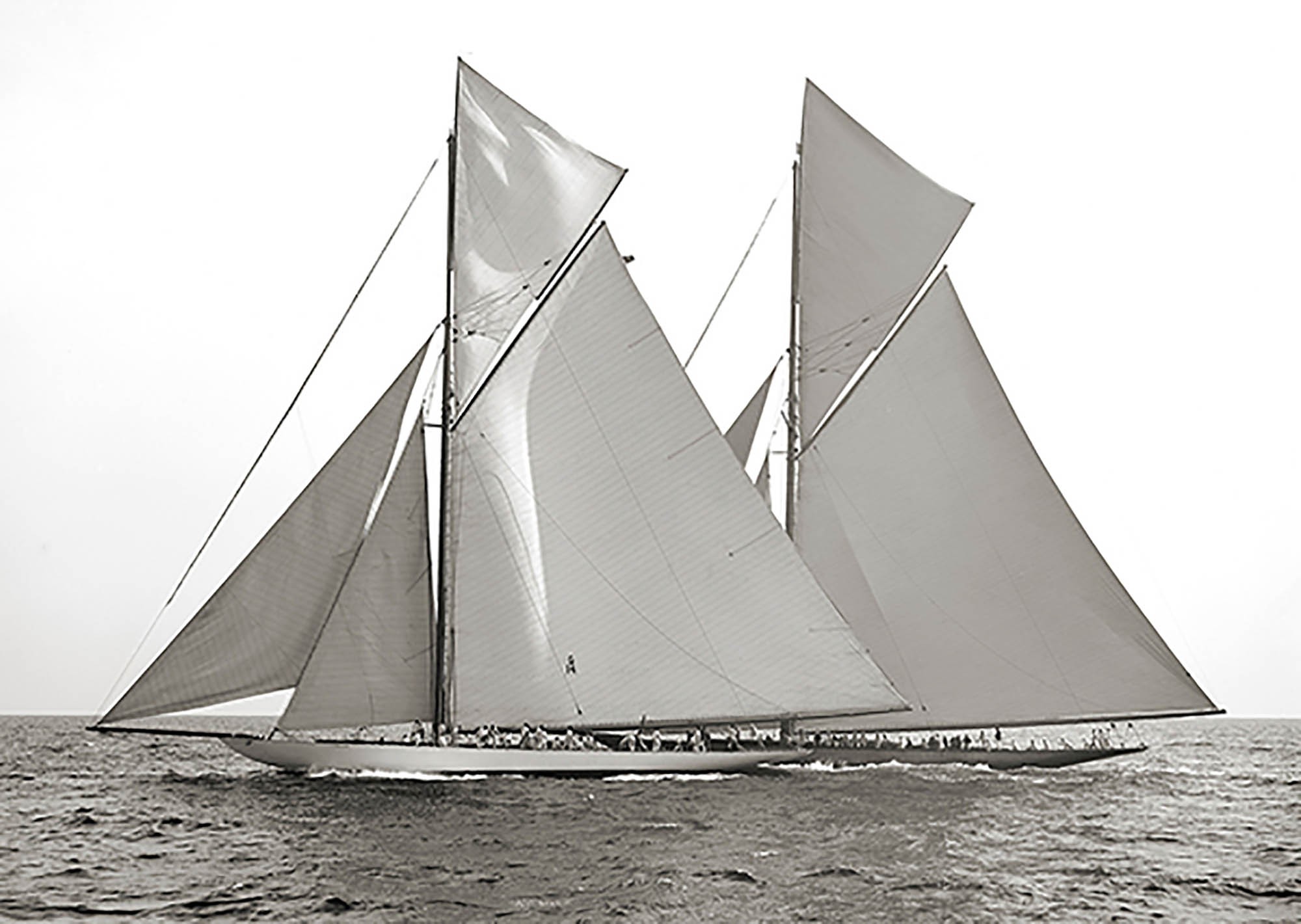 Columbia y Shamrock, 1901