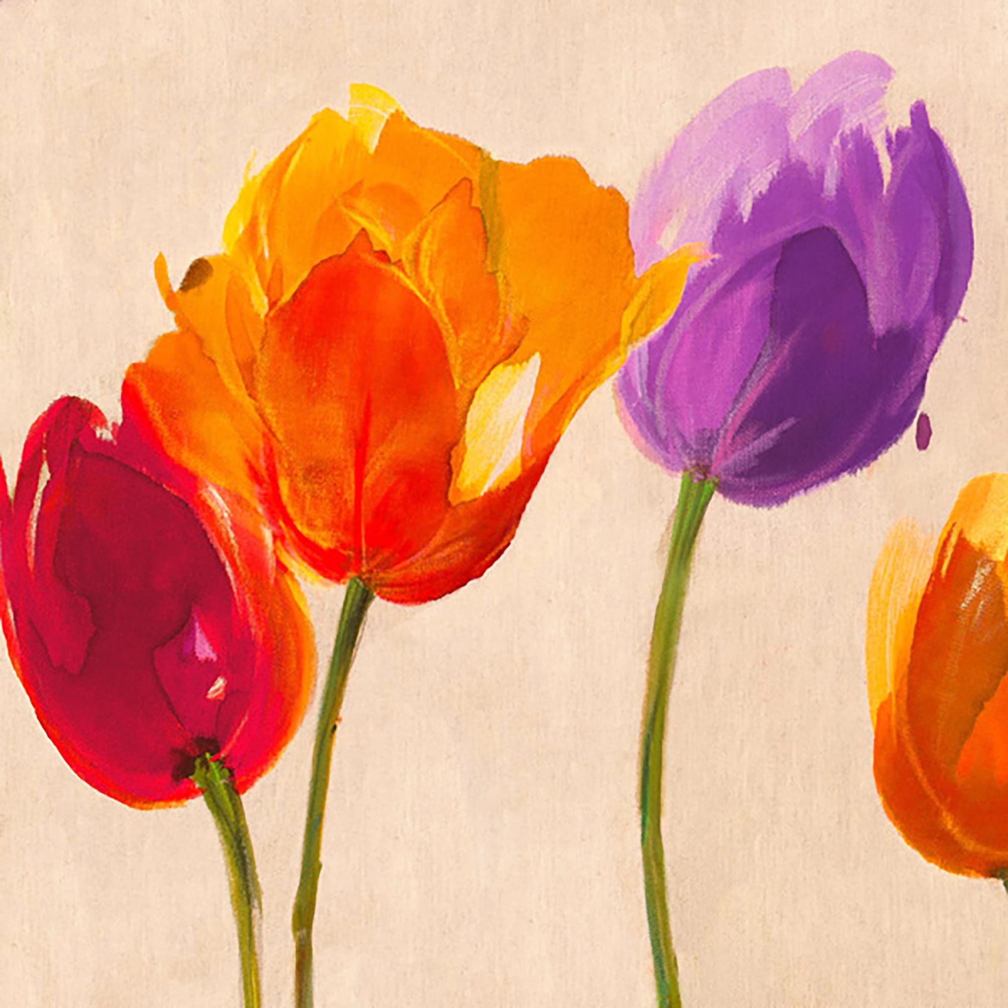 Tulipanes y colores (detalle)