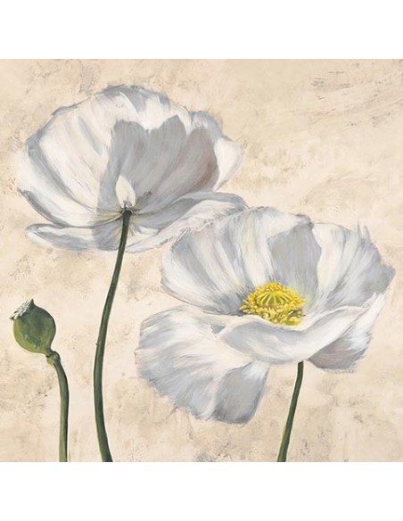 Amapolas en blanco I