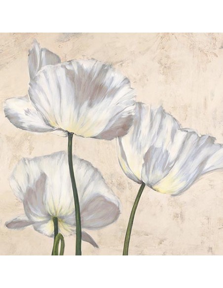 Amapolas en blanco II