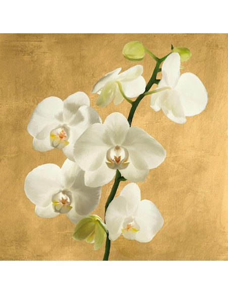 Orquídeas sobre fondo dorado II