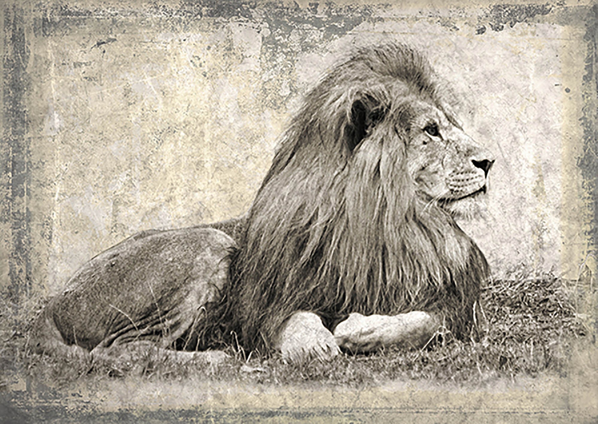 Recuerdos de África I