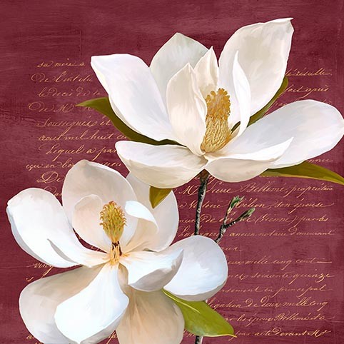 Magnolia II de Borgoña