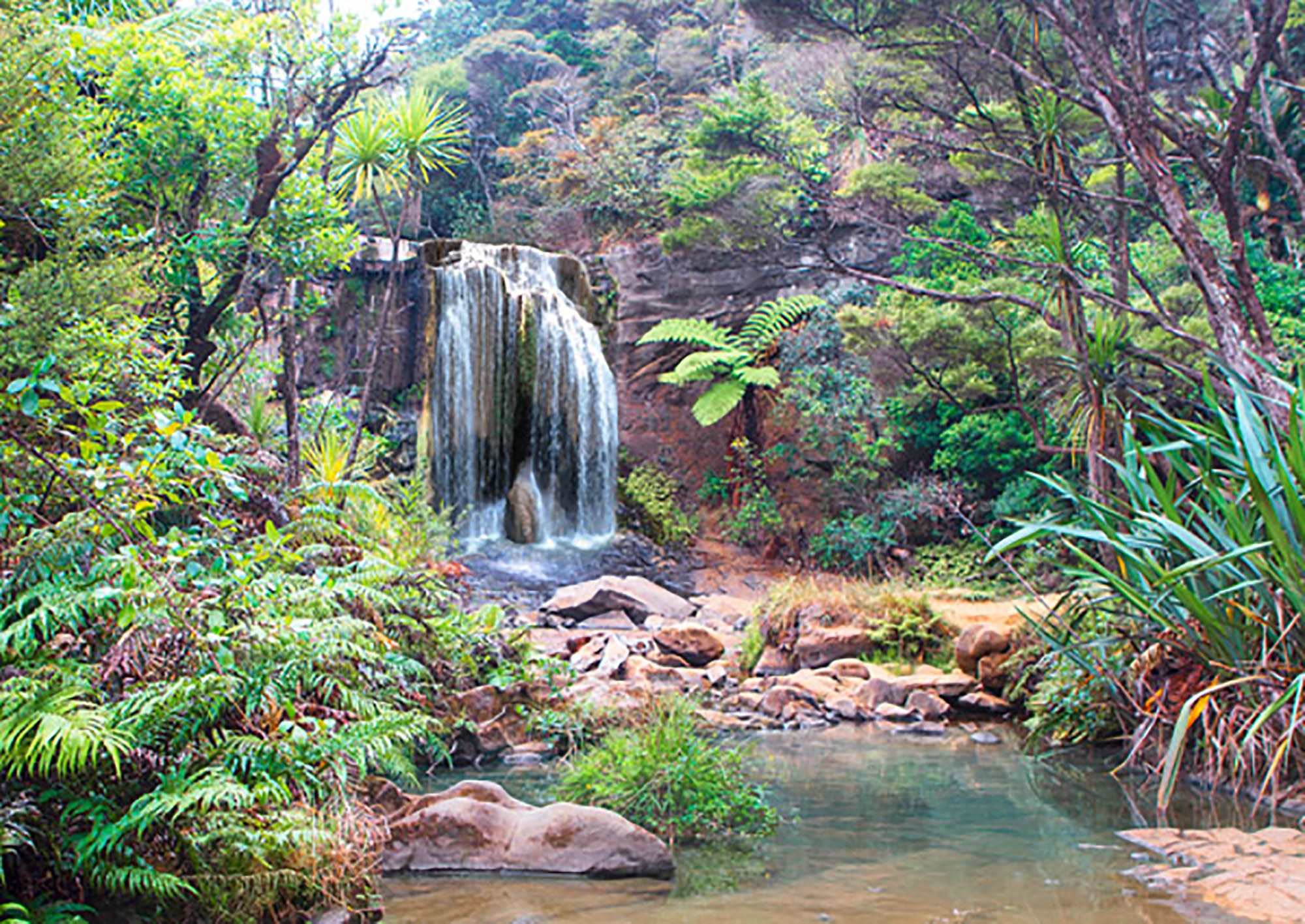 Cascada de la selva tropical (detalle)