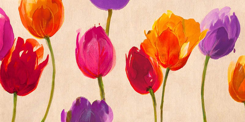 Tulipanes y colores