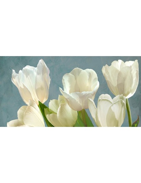 Tulipanes blancos sobre azul