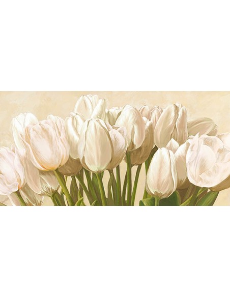 Tulipanes color blanco roto