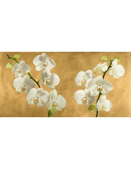 Orquídeas sobre un fondo dorado